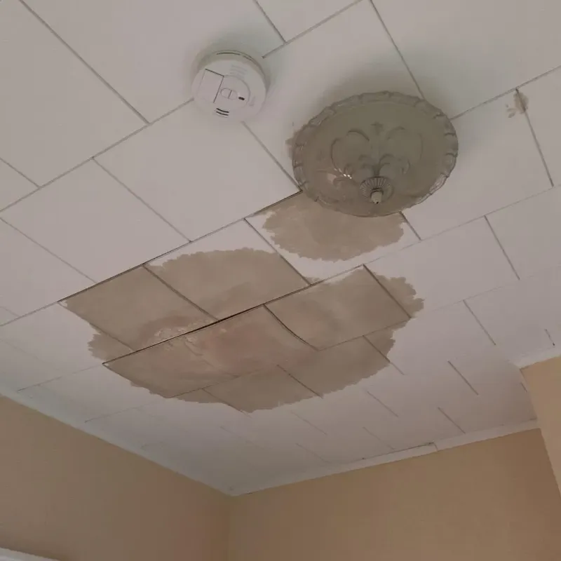 Ceiling Water Damage Repair in Renville County, MN