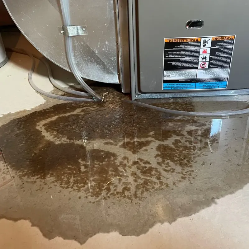 Pipe Burst and Leak Restoration in Renville County, MN
