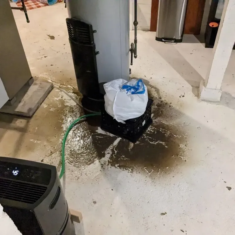 Sewage Backup Cleanup Service in Renville County, MN